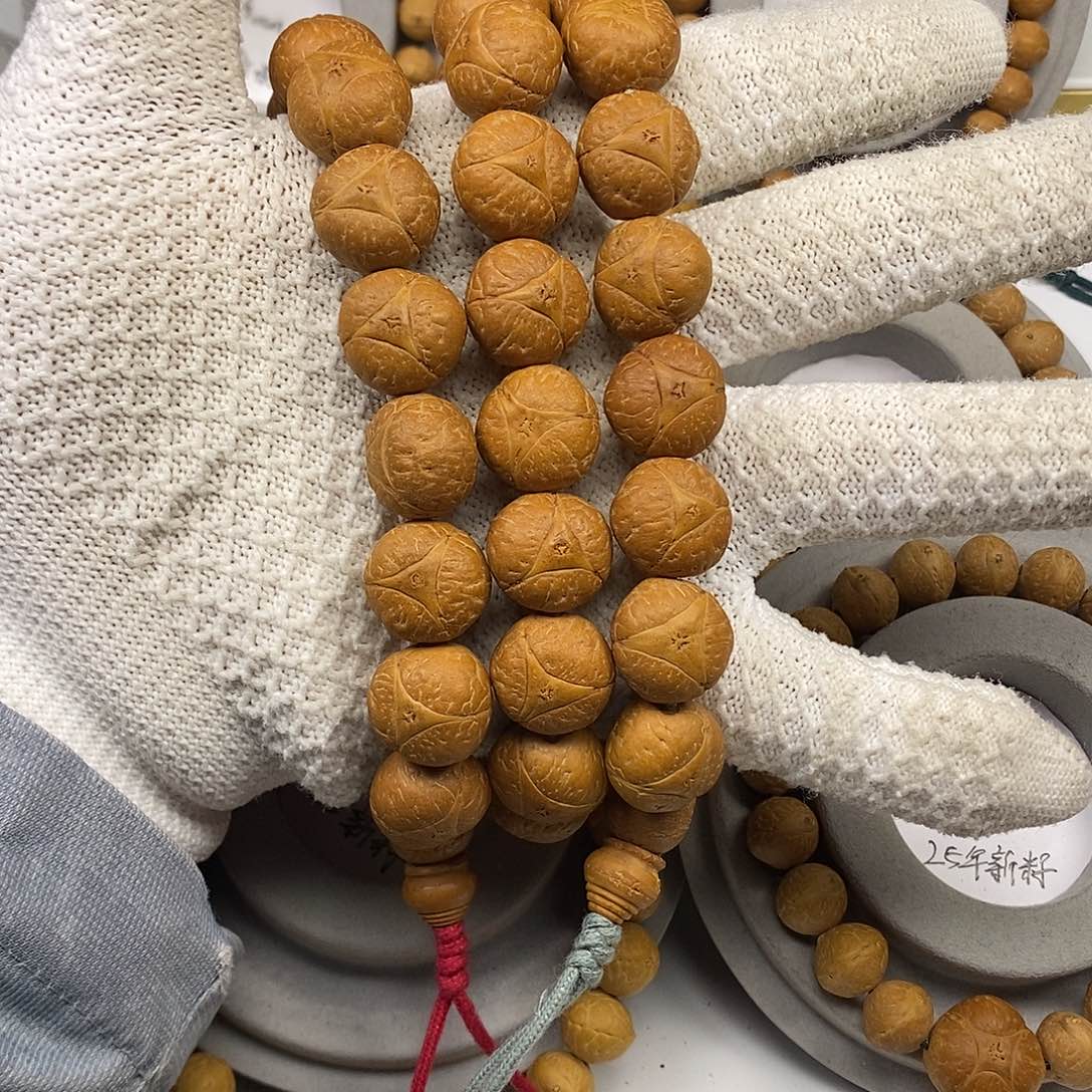 凤眼菩提手串保尼泊尔16mm➕龙眼手串