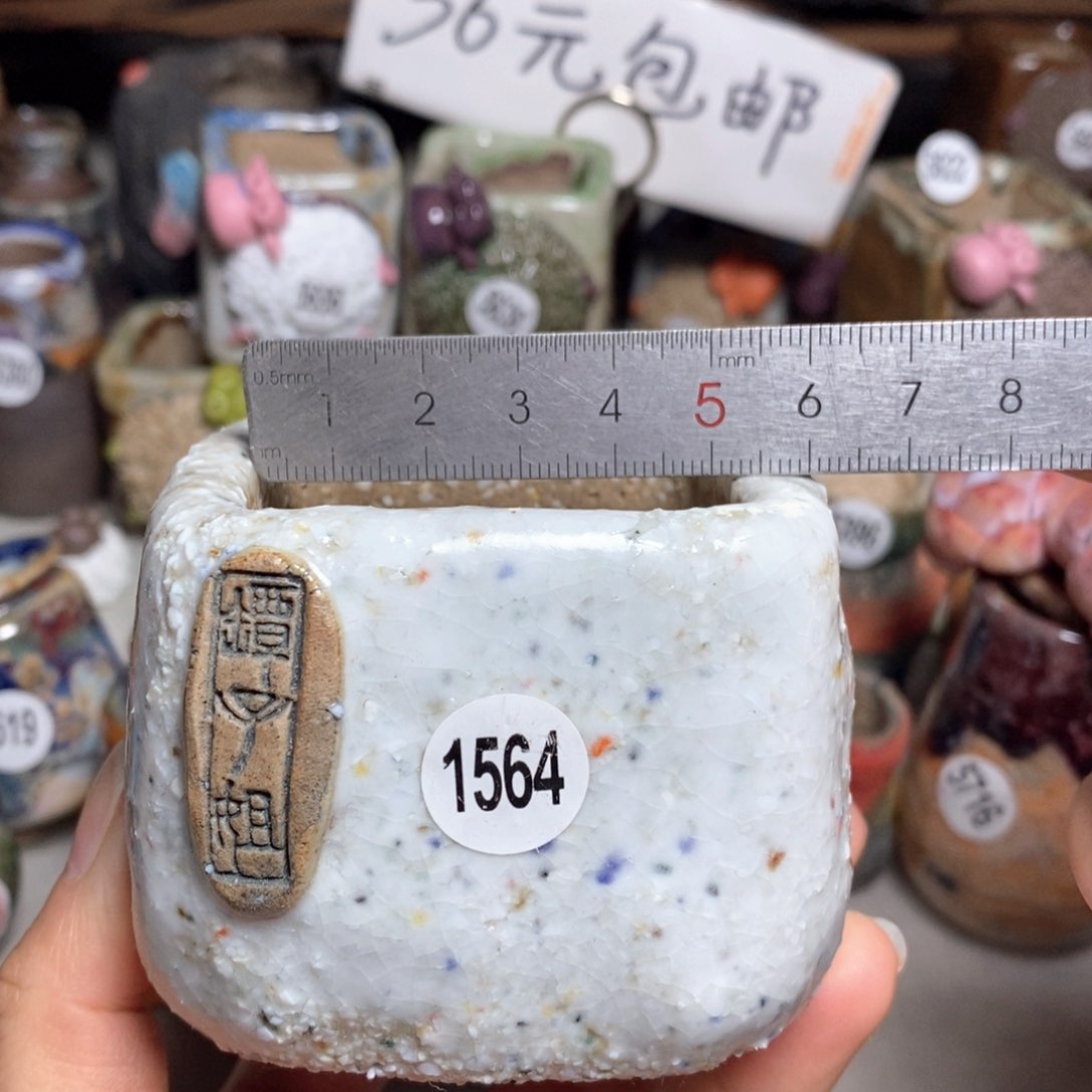 拍3送一个小礼物