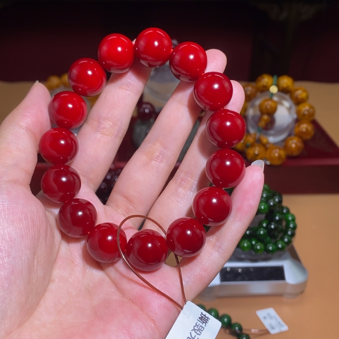 贝壳杉1.5 帝王血龙木