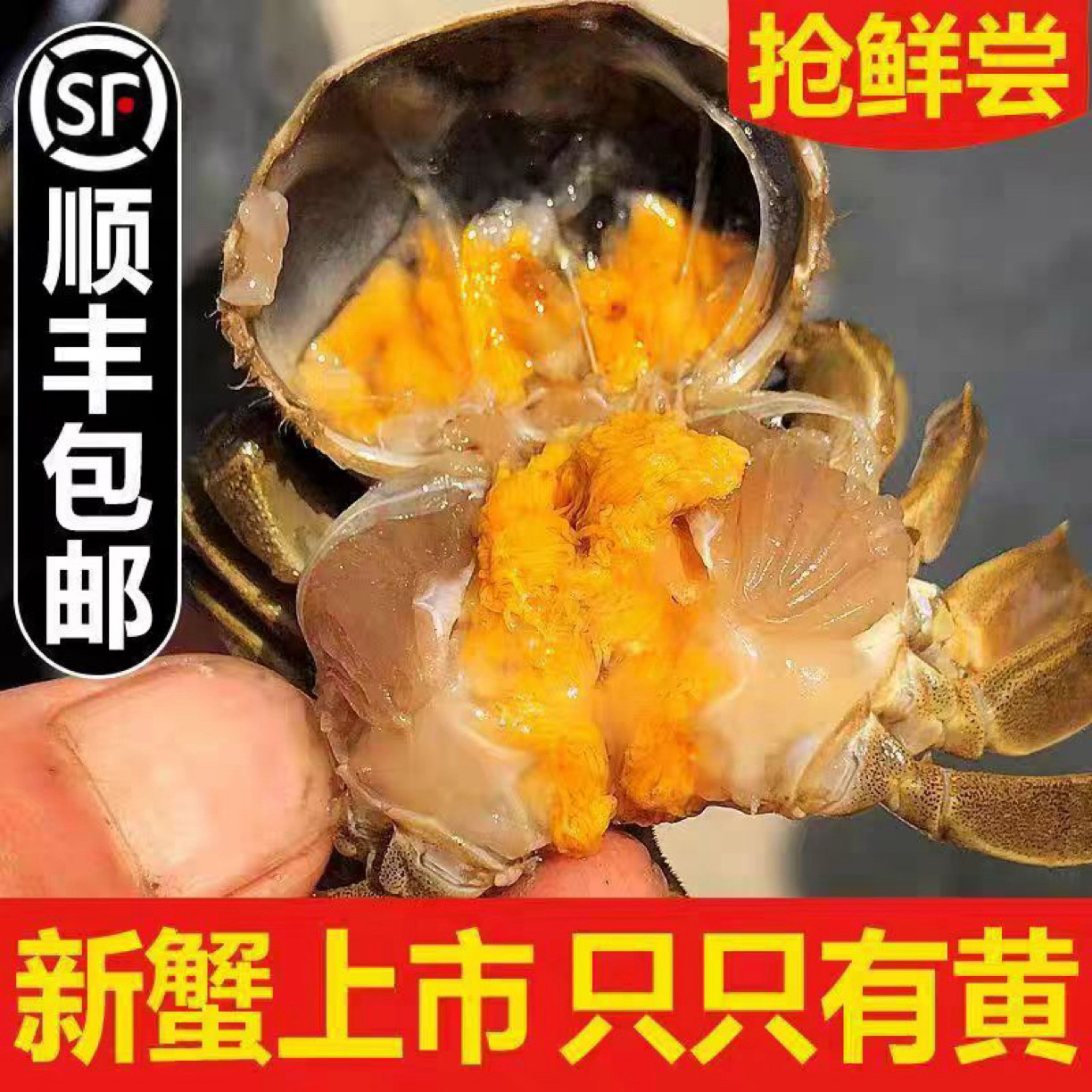 盘锦河蟹1.4-1.7两公蟹 3斤装全国包邮