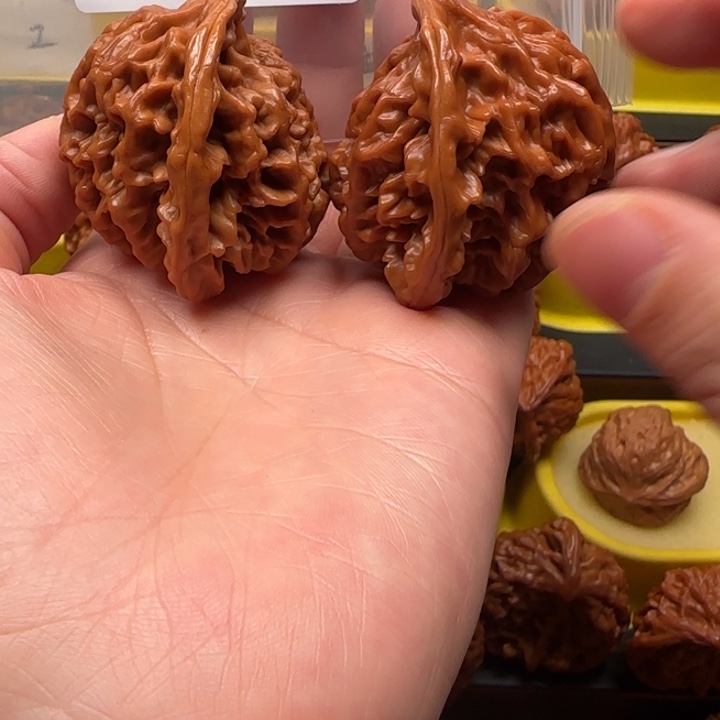 文玩核桃吊坠九龙筋蛇王52