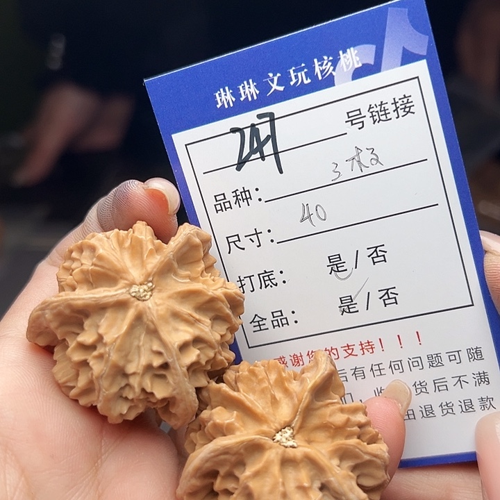 文玩核桃吊坠核桃树247