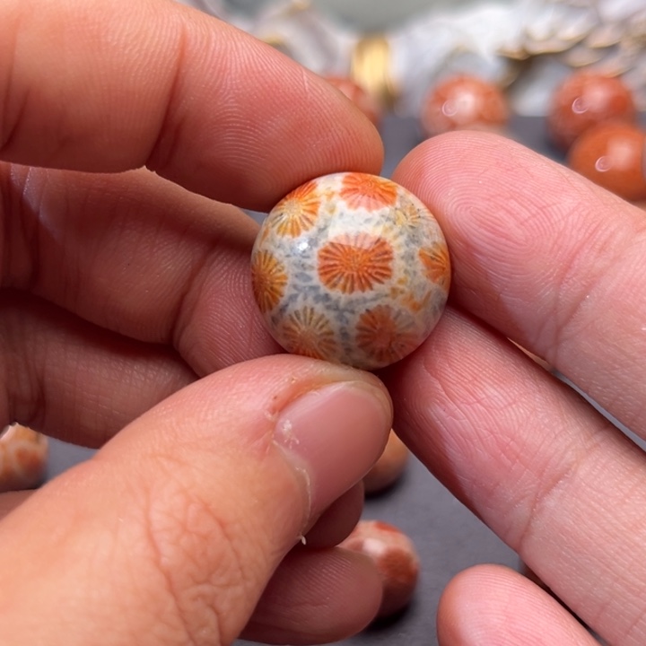 花***子玛瑙/玉髓未镶嵌珠子硅化玉