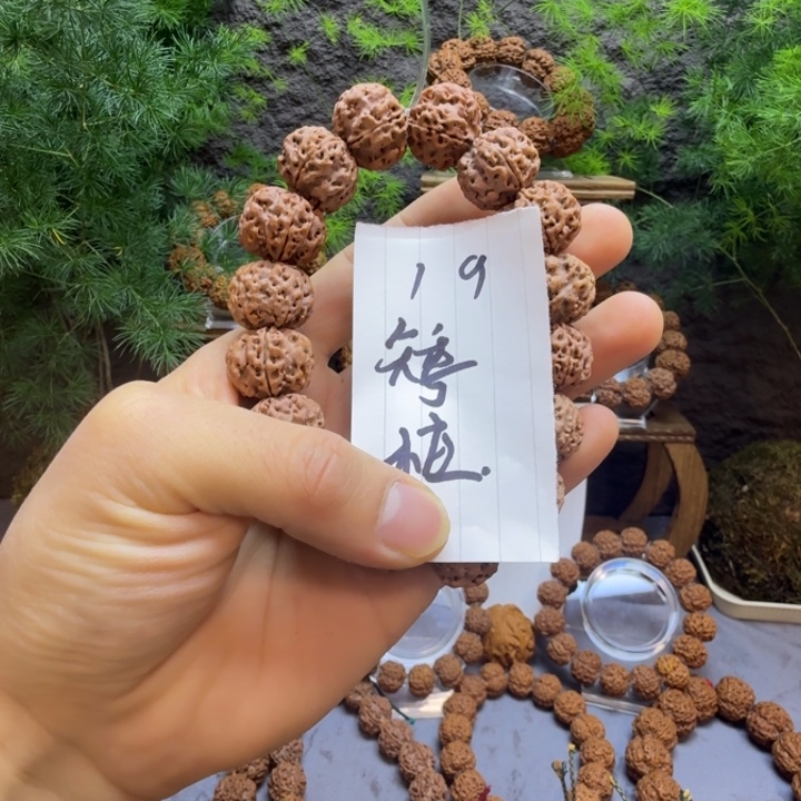 金刚菩提手串福利矮壮梅花