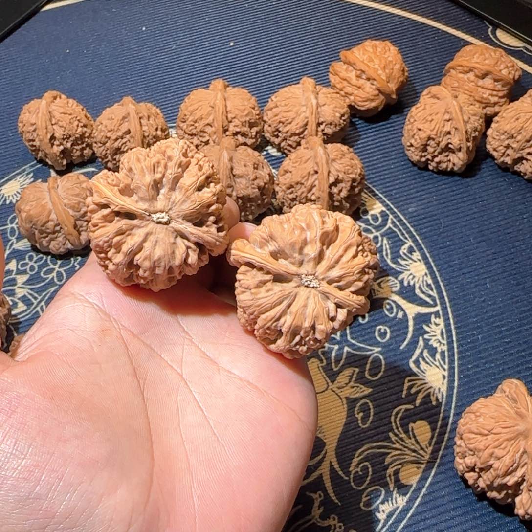 踏***脚大粗筋哈哈哈哈哈哈哈哈哈哈