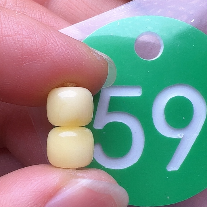 蜜蜡裸石未镶嵌7m m