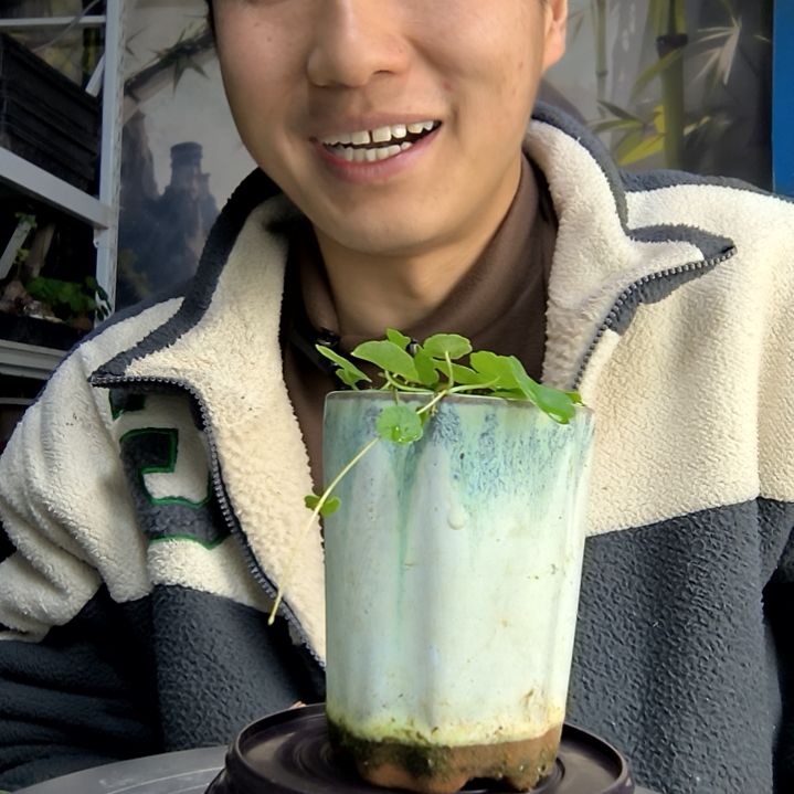 甜****?中青园艺一物一拍133