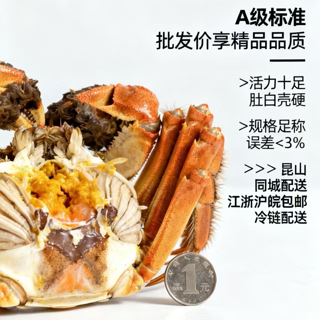 精品活蟹5.0规格｜昆山大闸蟹全母10只3.3-3.0两顺丰包邮