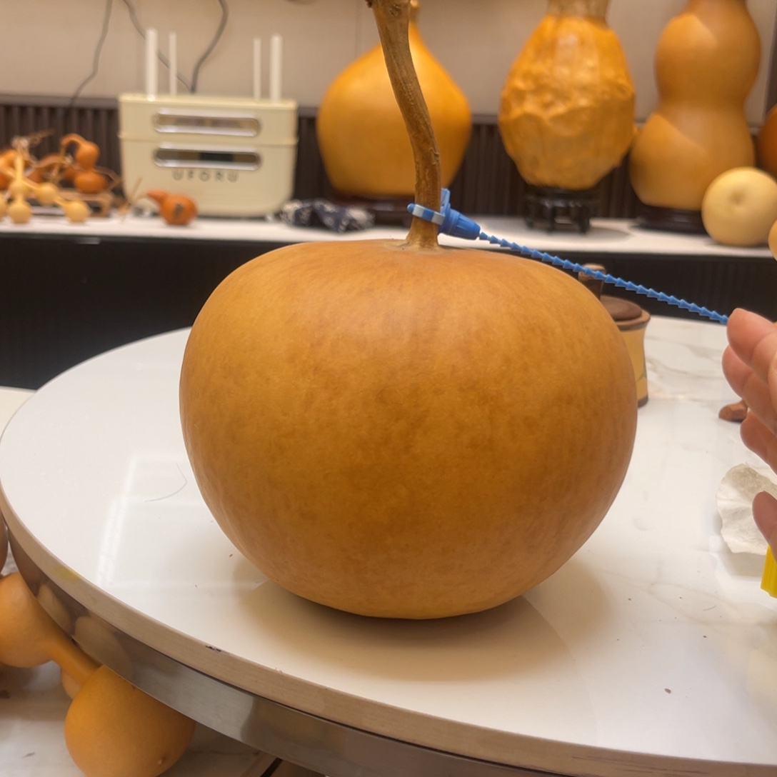 王***宗仿木不包邮不保龙头