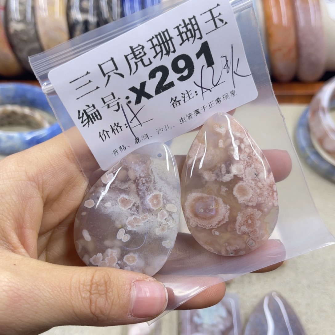 椰***韵硅化珊瑚（珊瑚玉）未镶嵌h