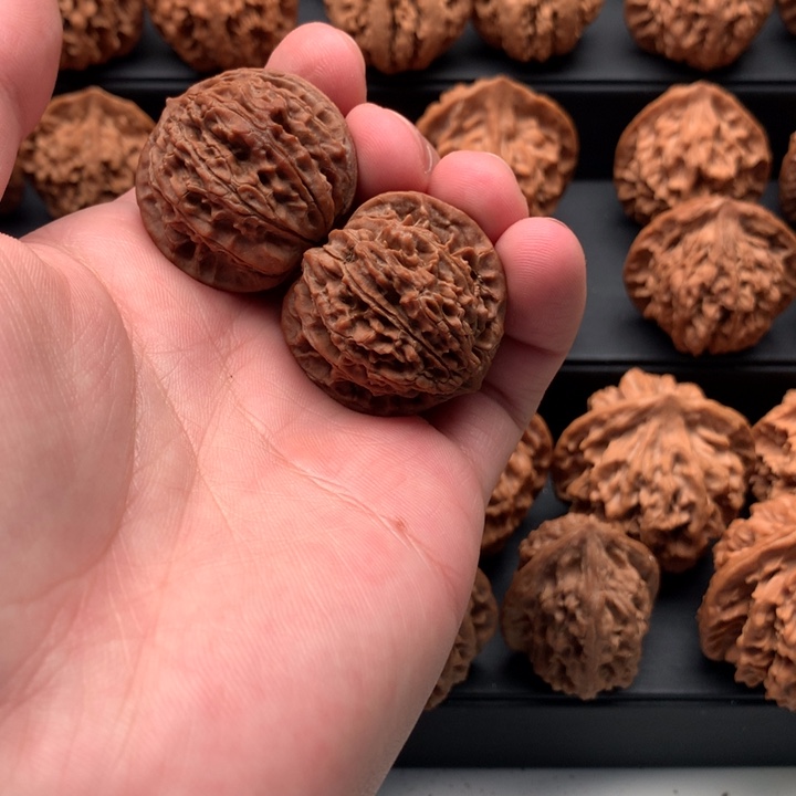 其他核桃胡**君秦岭的森林