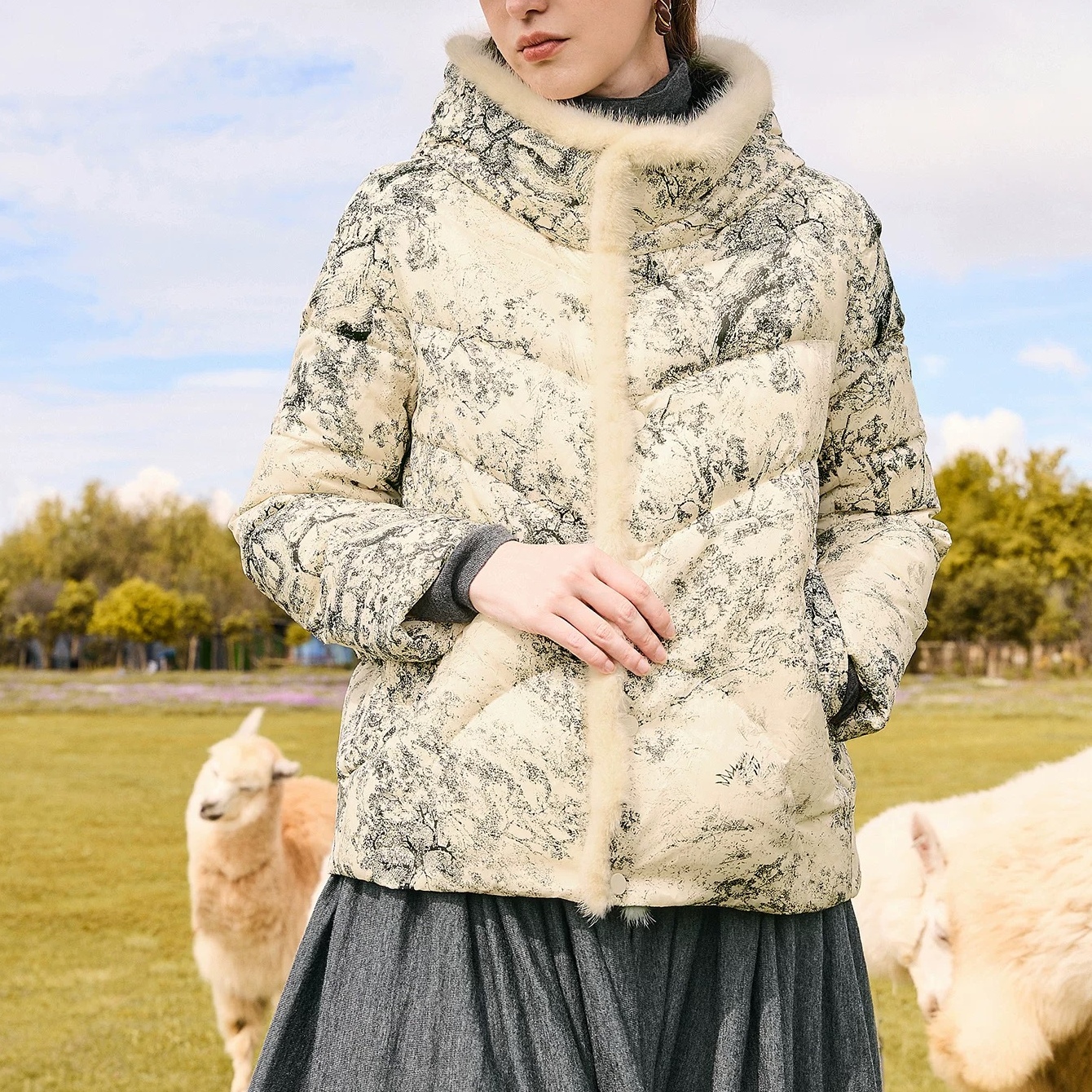 【萨拉迪恩】白鹅绒羽绒服女士短款加时尚保暖百搭简约立领