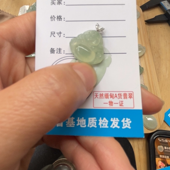 h***C翡翠未镶嵌吊坠(不含链)fc