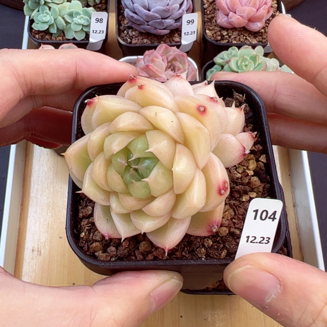 好好看104、哈哈哈哈