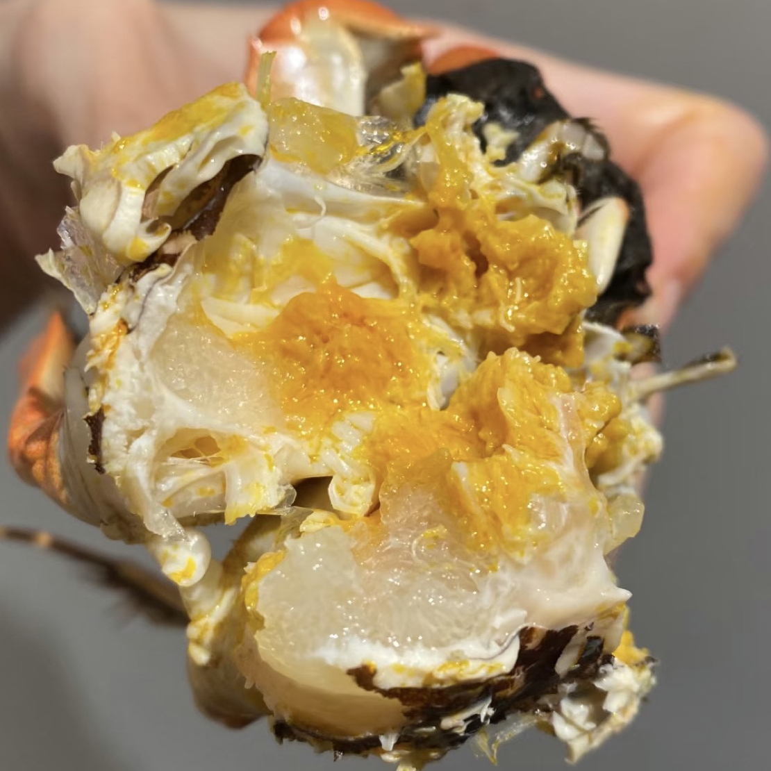 【鲜活大闸蟹】活蟹全公蟹4.5两-3.5两/掉爪3斤/9只左右