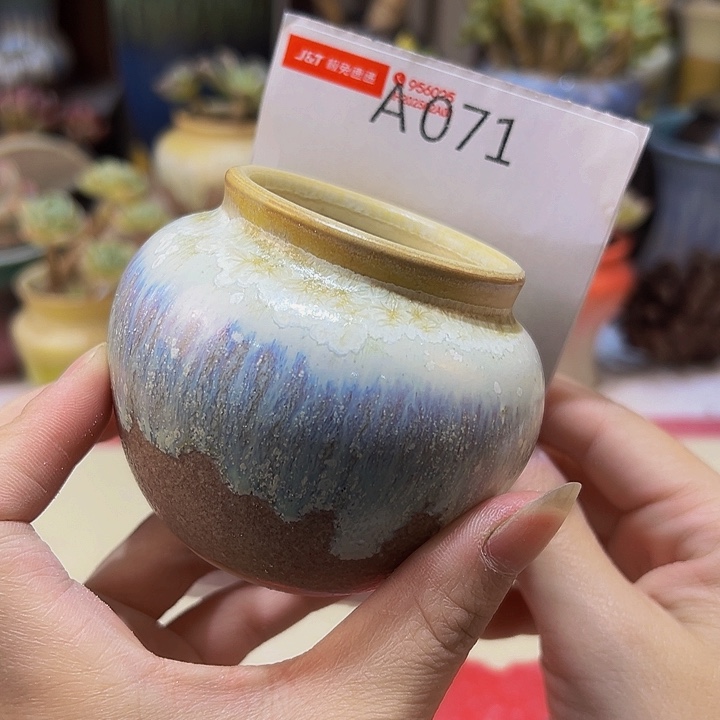 景德镇陶瓷研究所?*午