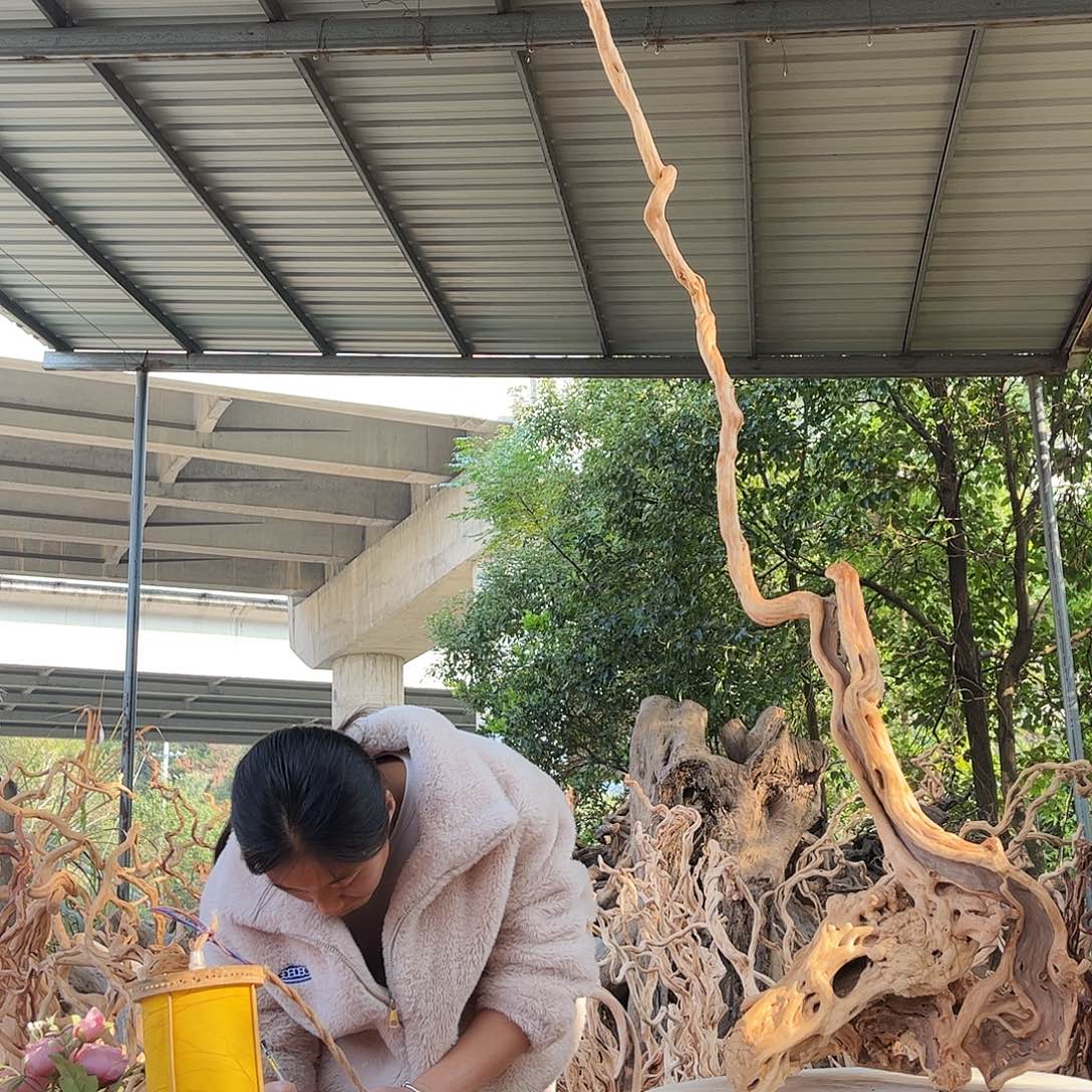 福***长木我是一只小小鸟的