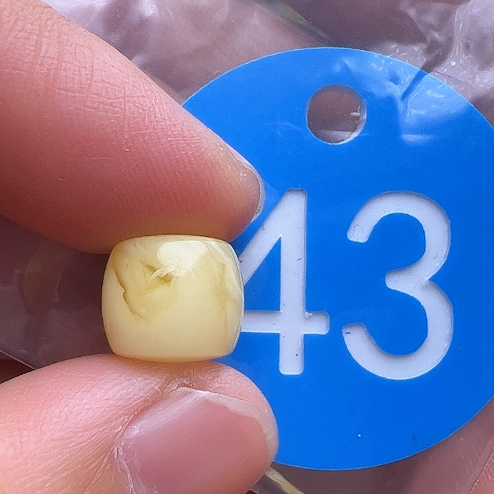 未镶嵌蜜蜡裸石10m m