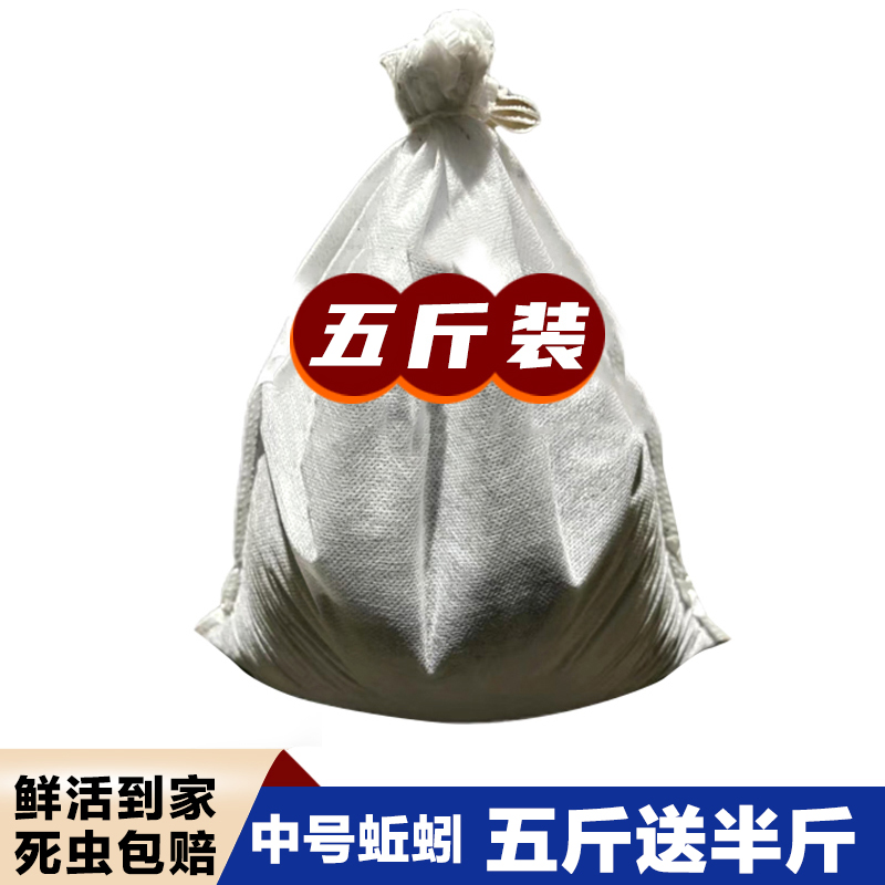 【五斤装】蚯蚓活饵鲜活红虫垂钓野钓黑坑饵料鲫鱼鲤鱼打窝料批发