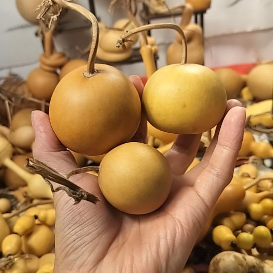阁***阁直播间专供链接葫芦链接葫芦链接