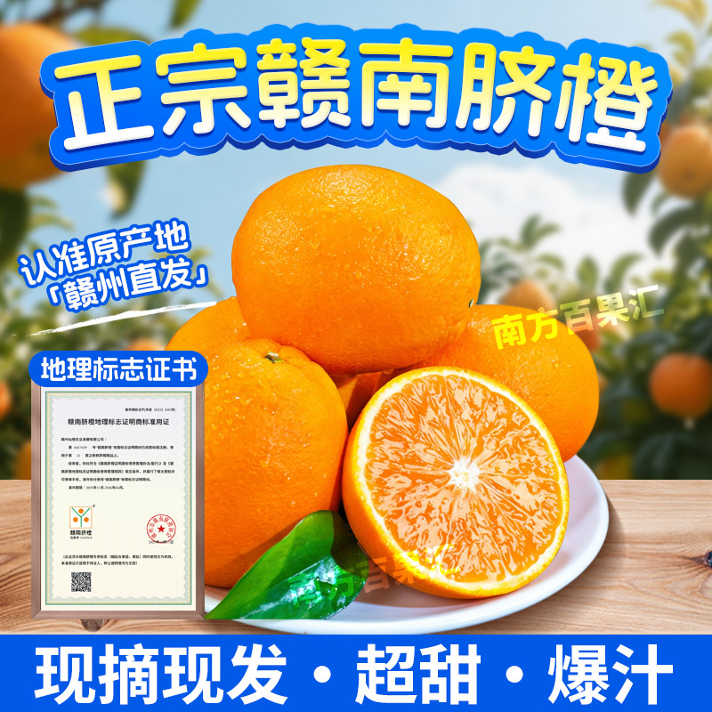 江西正宗赣南脐橙 新鲜采摘现发自然树熟巨甜爆汁赣州直发10斤