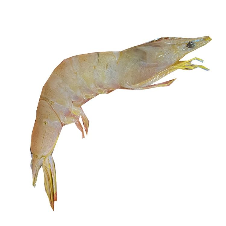 野生灯光虾（500g/盒，速冻锁鲜）