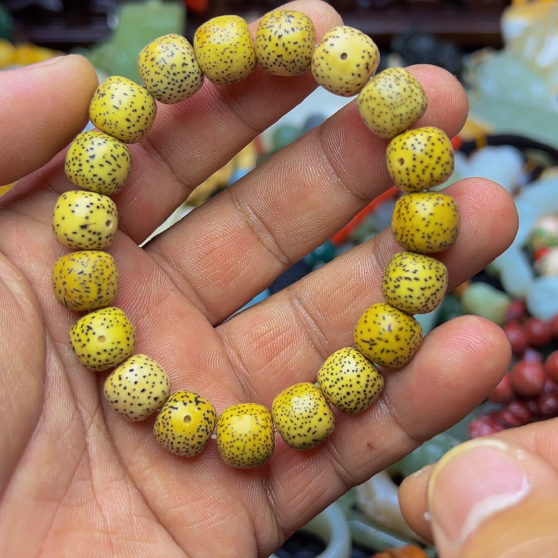 吊坠星月菩提天然的