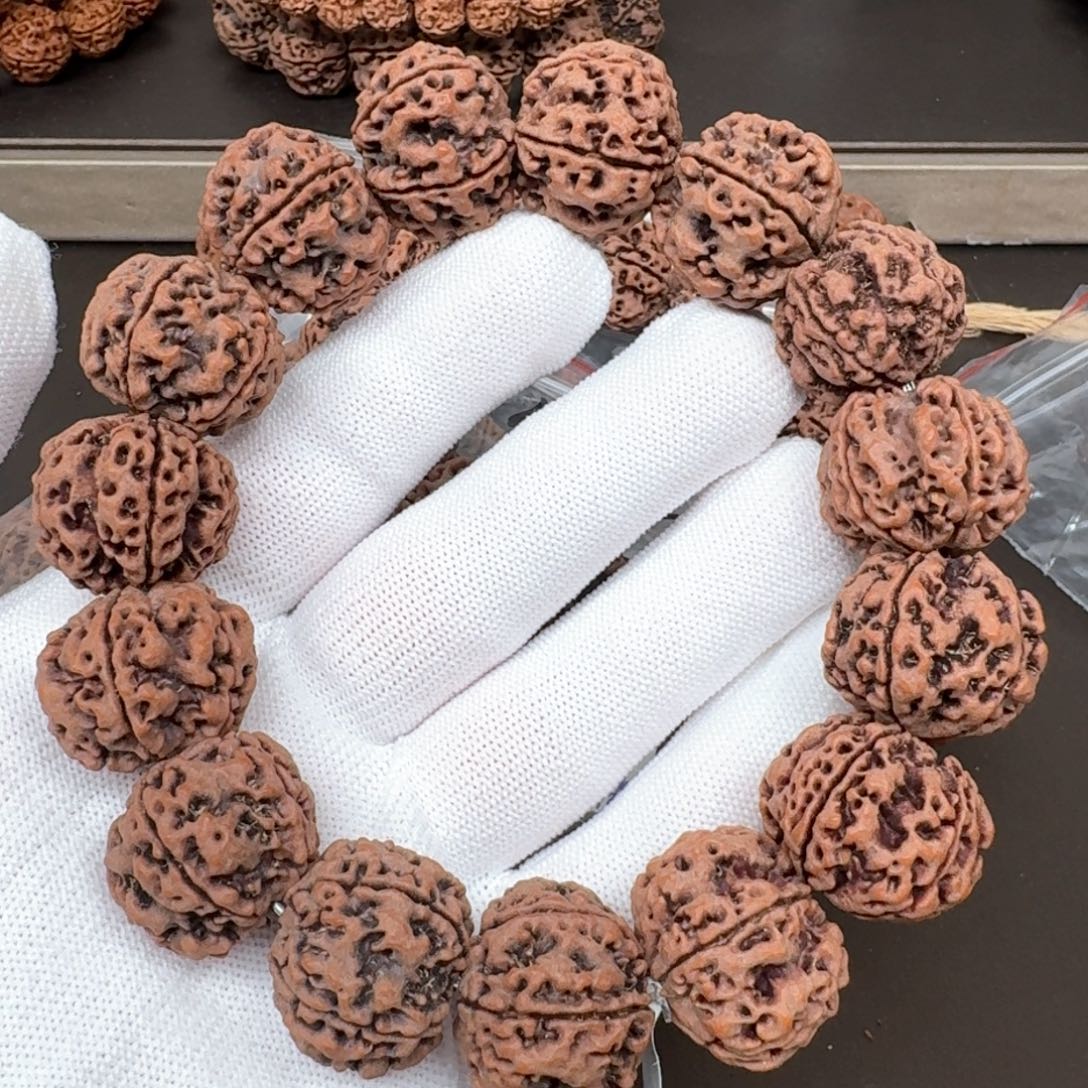 金刚菩提手串23+粗筋梅花双龙（桩高19+）