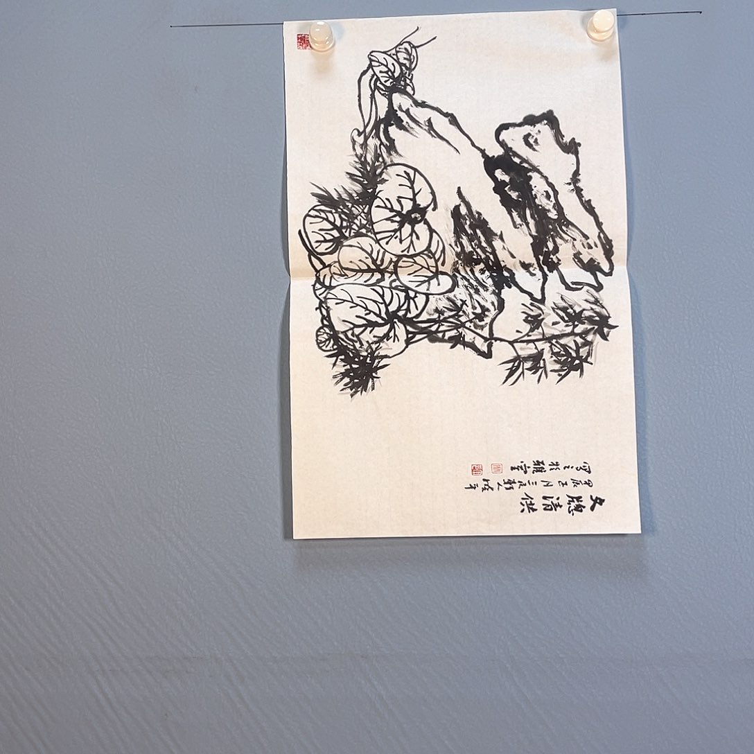 国画298 花开富贵花盛开时的