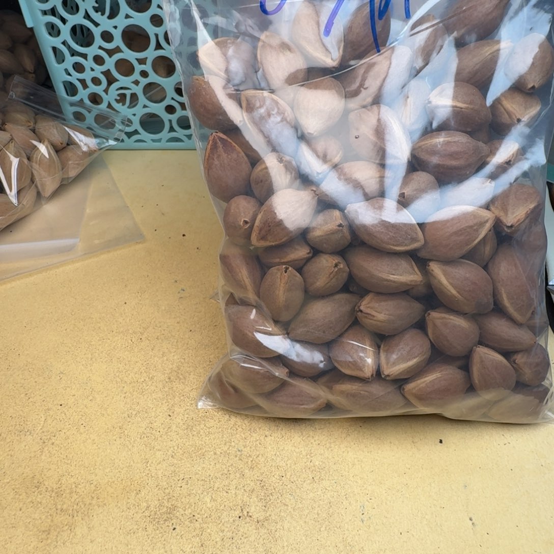 斌***子橄榄核手串/手链1