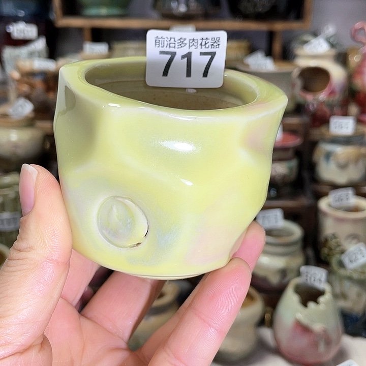 红陶内口径5高度6