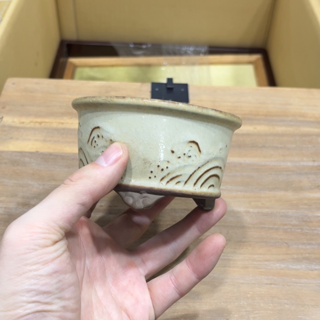 罗***奇茶茶茶茶茶茶茶茶
