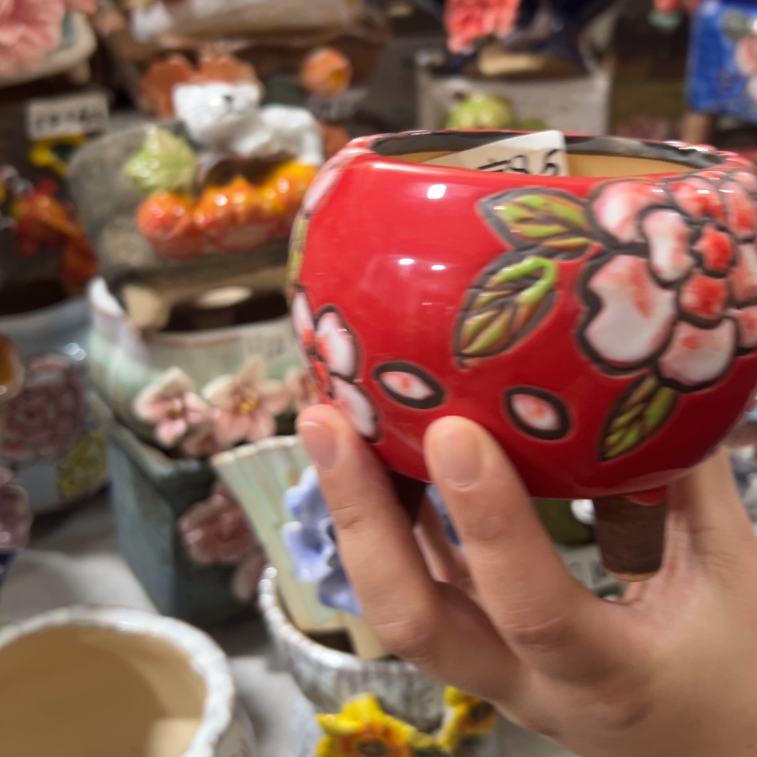 花盆，拍满20发货，退款拉黑