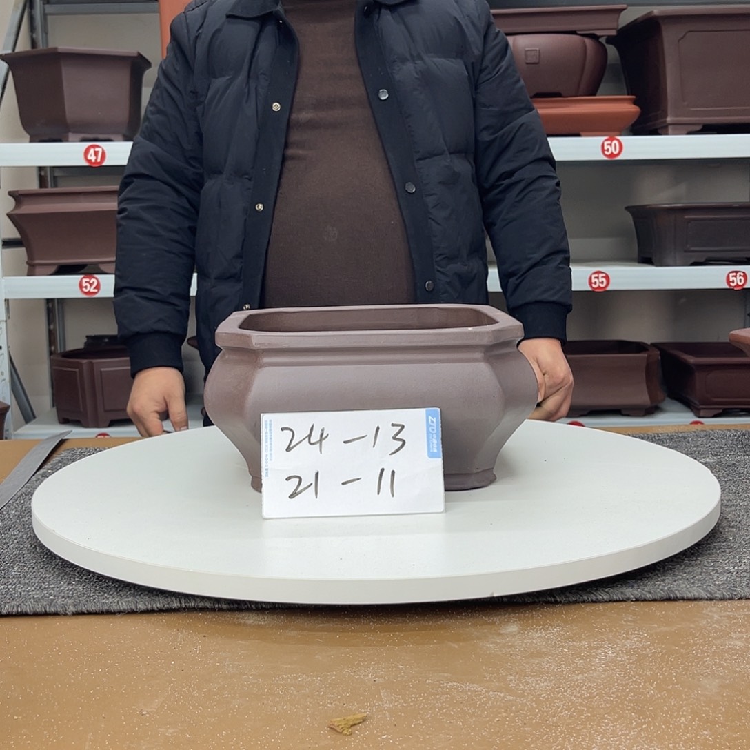 花盆紫砂早早的睡