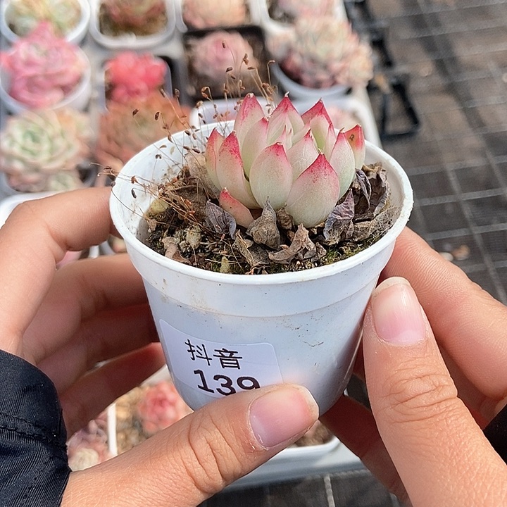 一物一拍满十元包邮发货 139