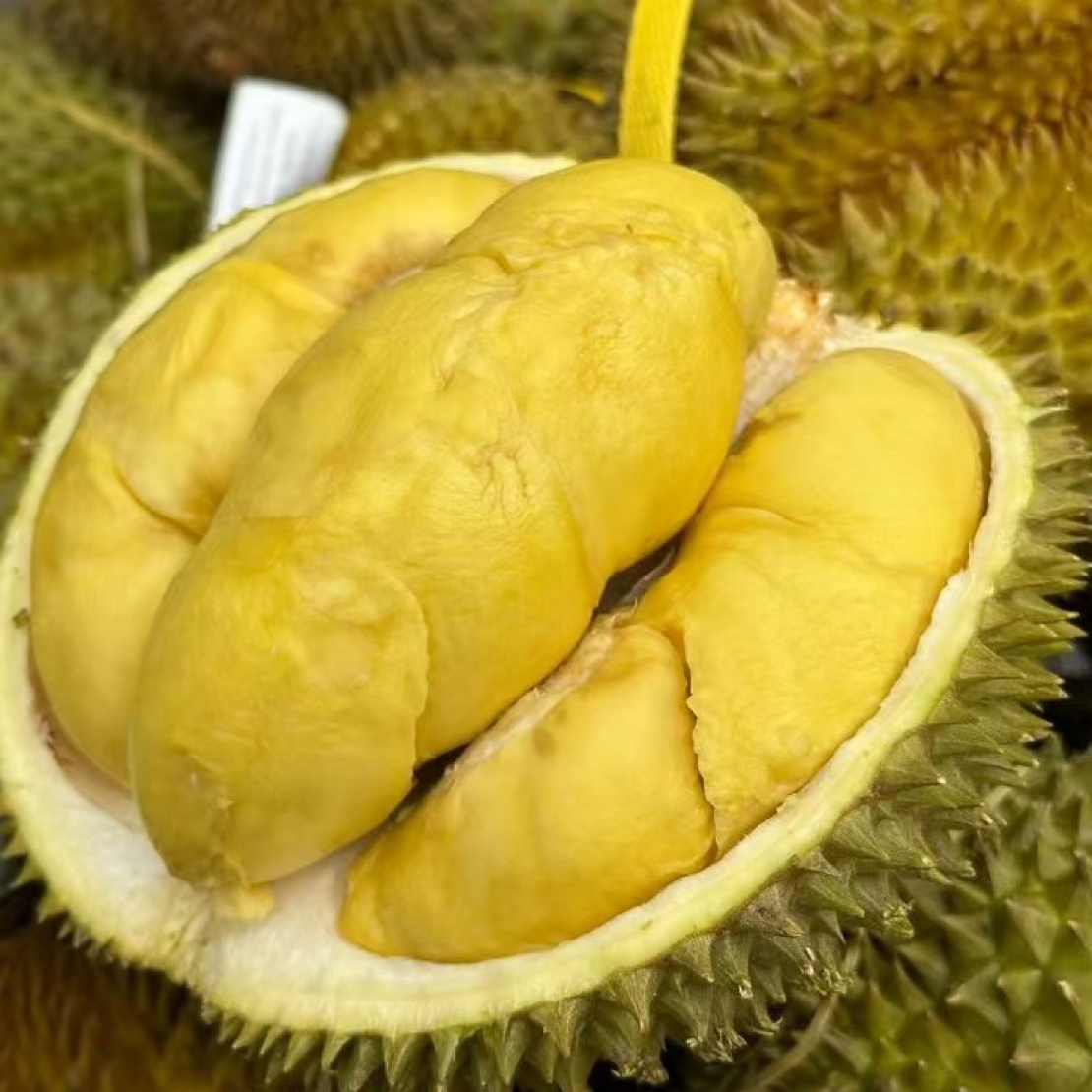 越南新鲜金枕榴莲（5斤左右）核小金枕越南
