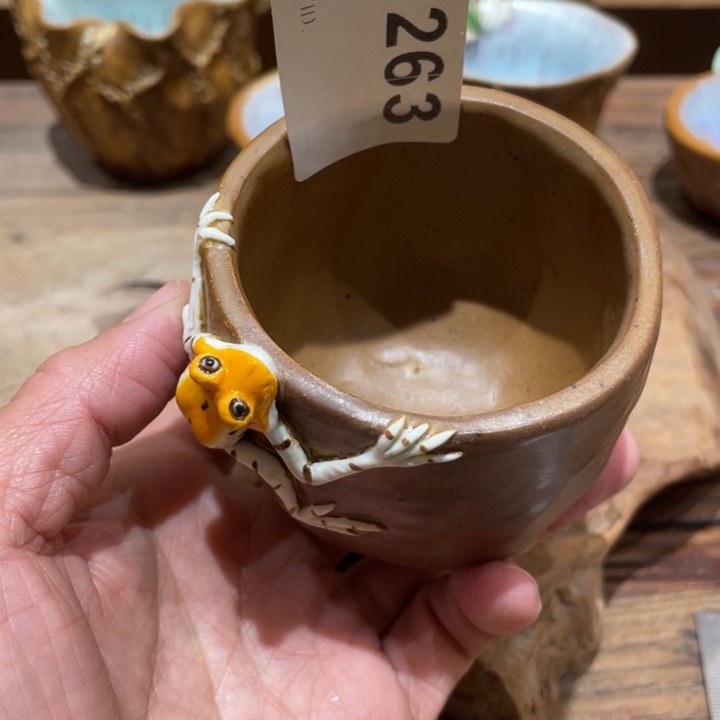 手工制作陶瓷茶具仿生茶杯