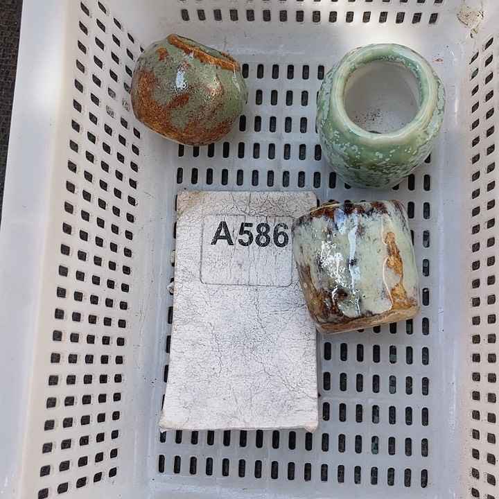 萍*586名密密麻麻密密麻麻