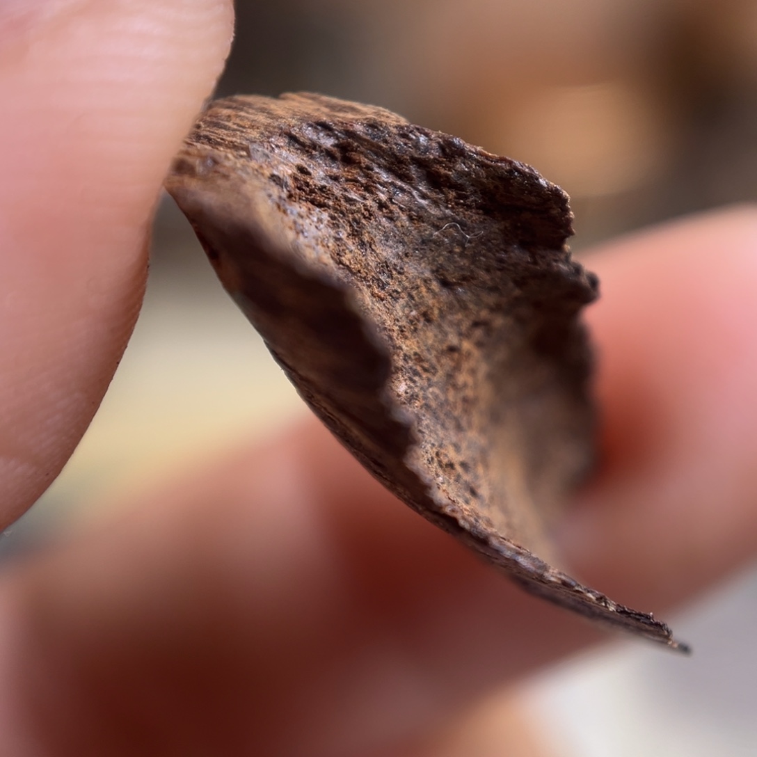 沉香海南沉水老房梁0.4克