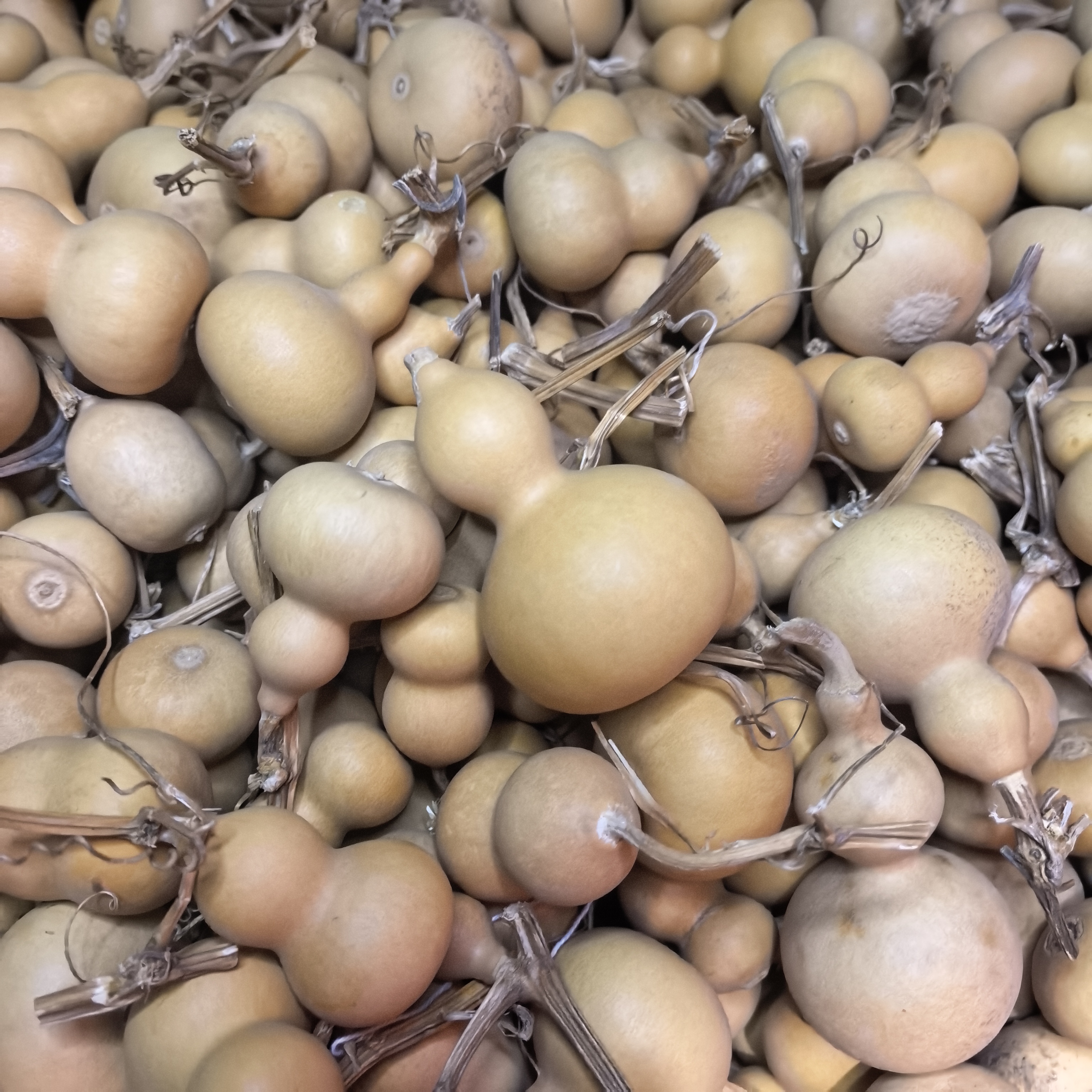 直播间1号链接默认微瑕，请勿私拍。天然葫芦手把件盘玩文玩。