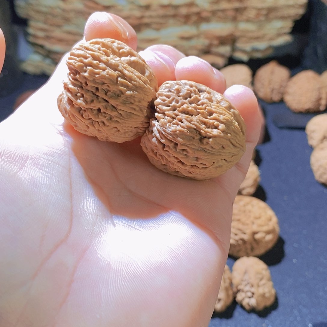 核桃手串/手链33全品拉丝凹底留疤丑疆