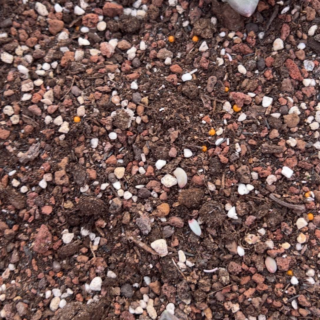 鱼****11111111111111111111111