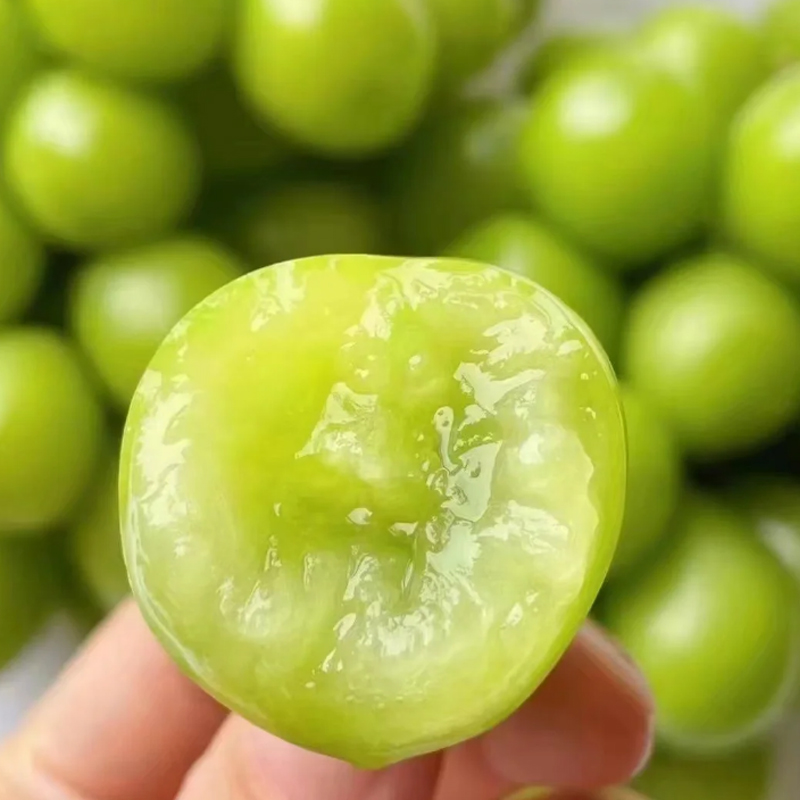 【高碑店发货】云南香印青提葡萄2.5-3斤净重2串新鲜