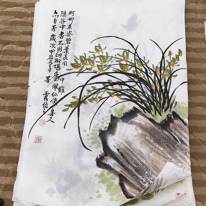 国画花鸟的翅膀和翅膀