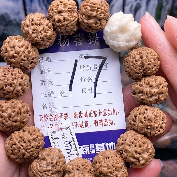 手串金刚菩提21双龙