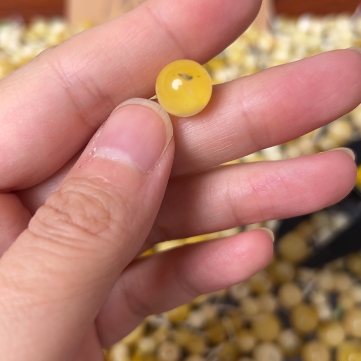 蜜蜡未镶嵌裸石10.3mm一个