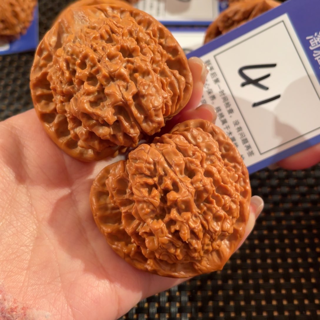 文玩核桃把件41号49尺官帽