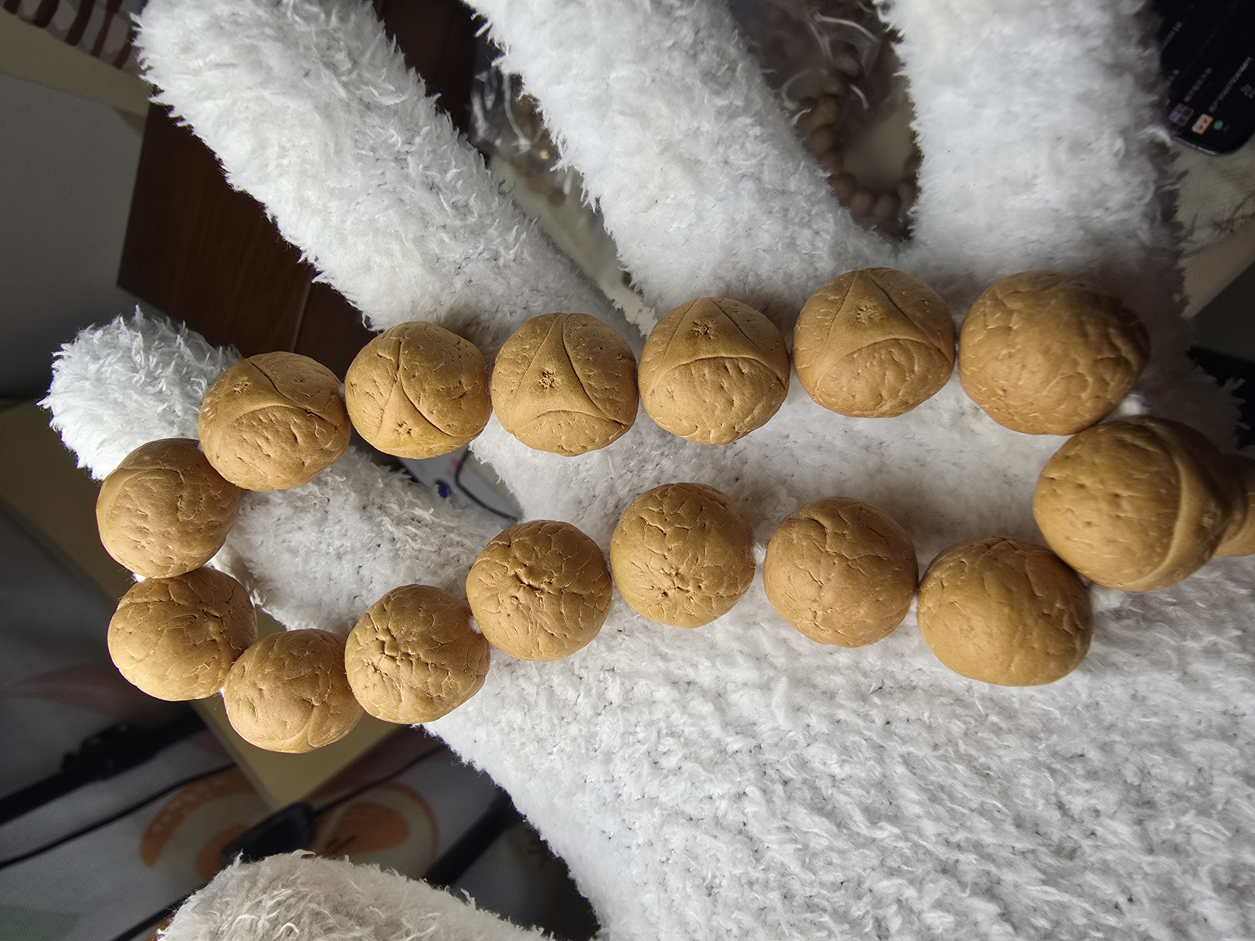 玉化龙眼肥龙菩提