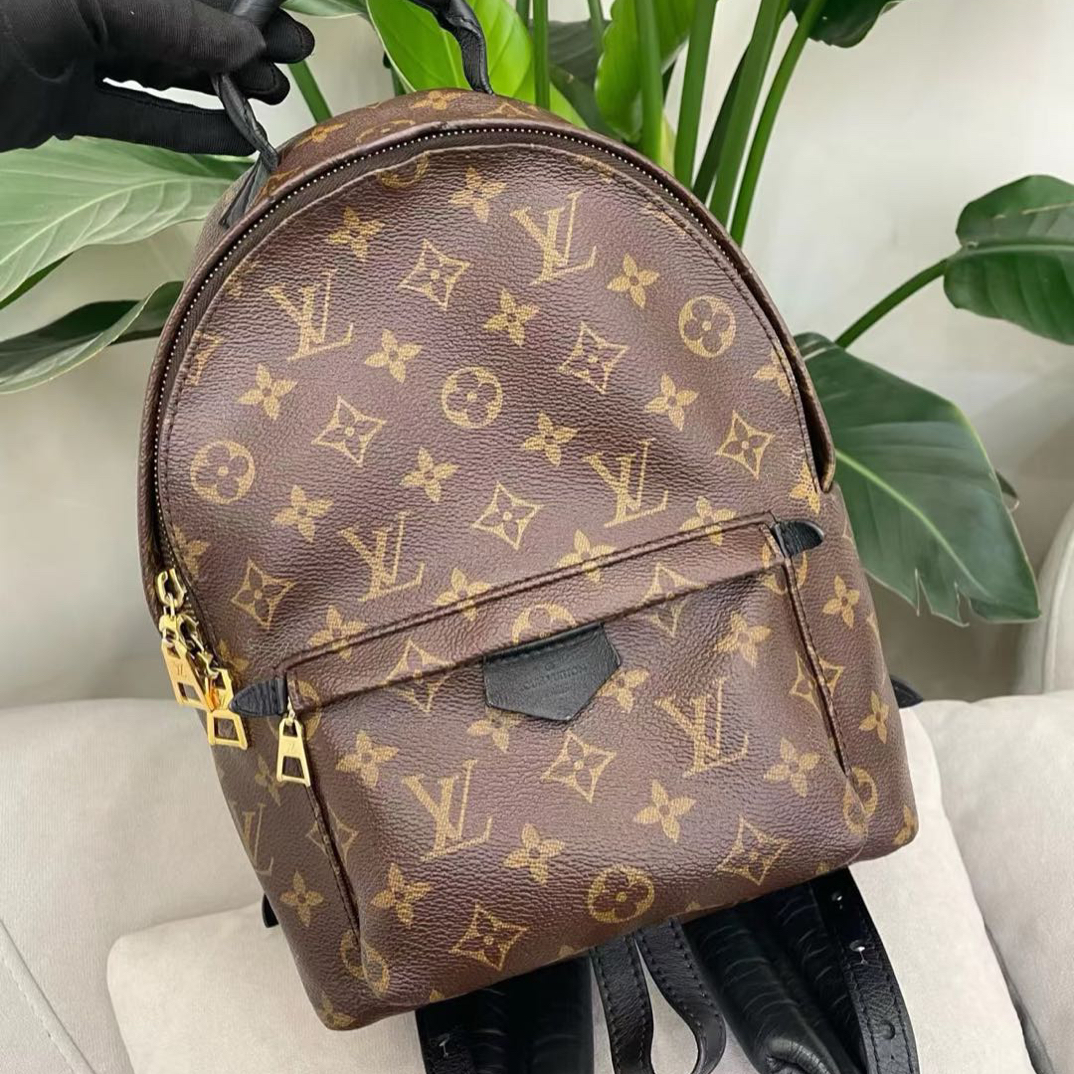95新 LouisVuitton/路易威登 老花小号双肩包