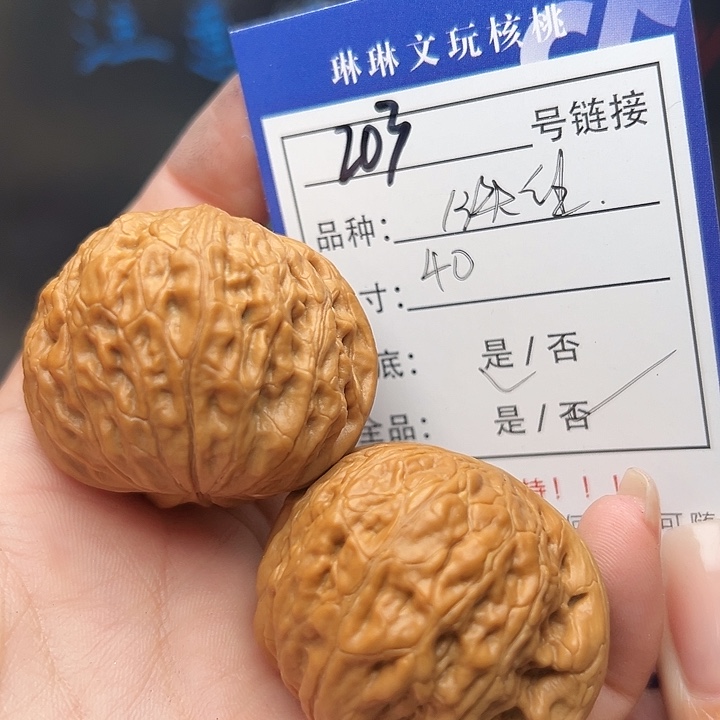 文玩核桃吊坠核桃树203
